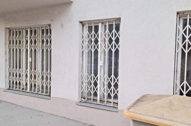 Anlageobjekt kaufen in 1130 Wien (Bild 1)