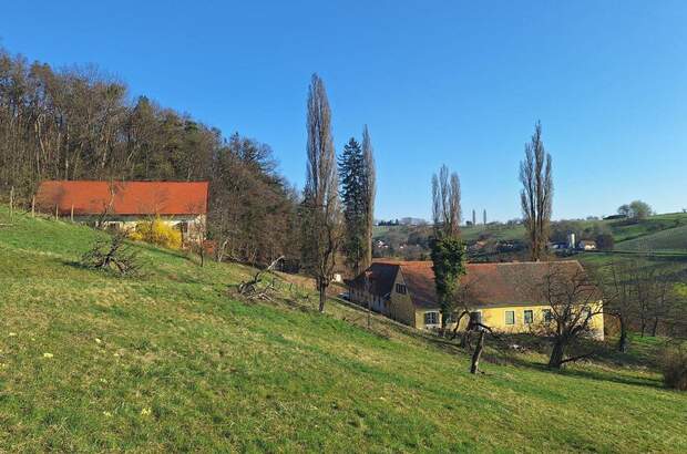 Gewerbeobjekt kaufen in 8280 Fürstenfeld (Bild 2)