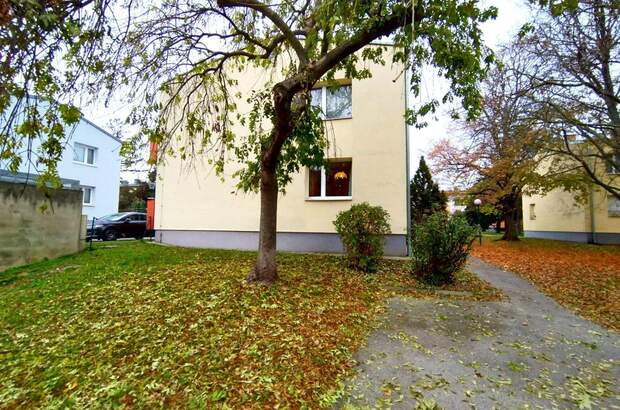 Terrassenwohnung kaufen in 2351 Wr. Neudorf (Bild 2)