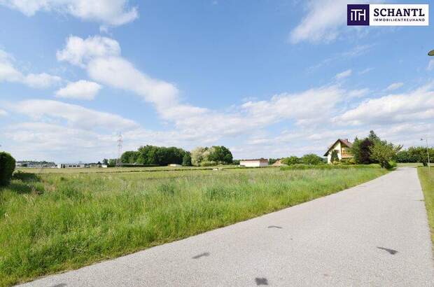 Grundstück kaufen in 8430 Leibnitz (Bild 2)