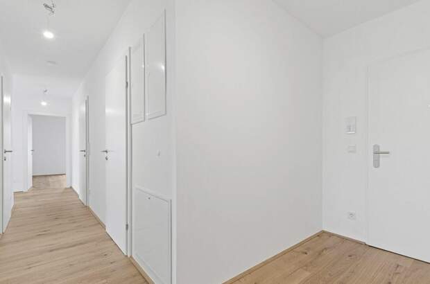 Anlageobjekt kaufen in 2540 Bad Vöslau (Bild 5)