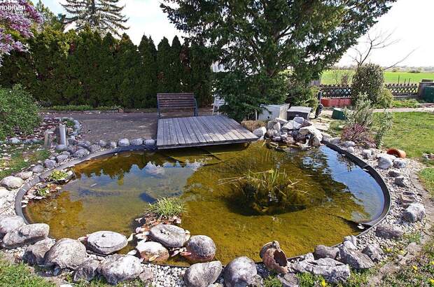 Haus kaufen in 7321 Lackendorf (Bild 5)