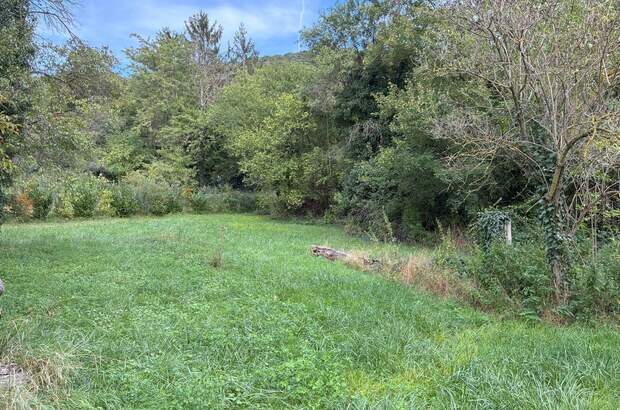 Grundstück kaufen in 2371 Hinterbrühl (Bild 5)