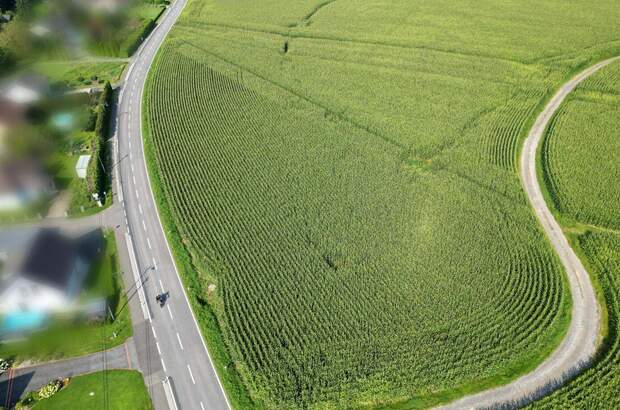 Gewerbeobjekt kaufen in 8421 Breitenfeld (Bild 1)