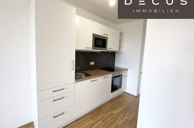 Terrassenwohnung mieten in 1220 Wien (Bild 3)