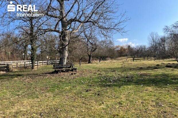 Haus kaufen in 7431 Bad Tatzmannsdorf (Bild 3)