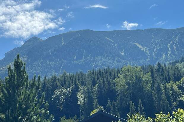 Einfamilienhaus kaufen in 3295 Lackenhof (Bild 4)