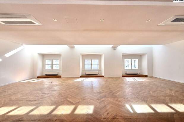 Gewerbeobjekt mieten in 1010 Wien (Bild 3)