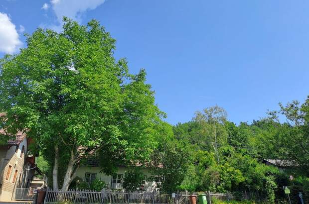 Einfamilienhaus kaufen in 2650 Payerbach (Bild 1)