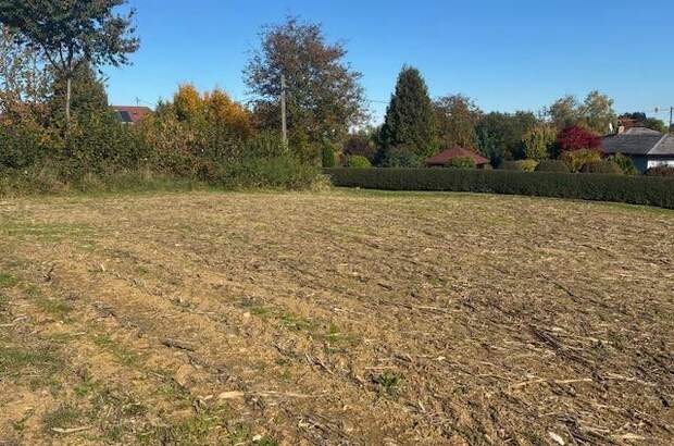 Grundstück kaufen in 4861 Aurach (Bild 1)