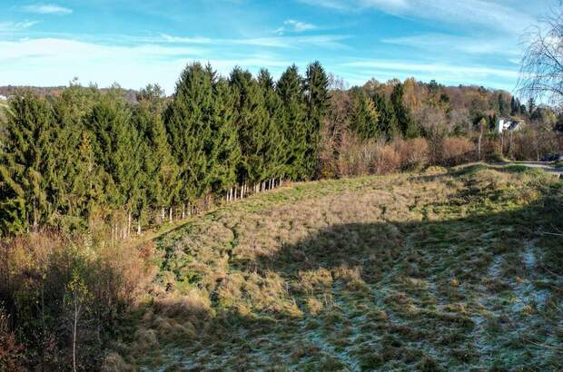 Grundstück kaufen in 8301 Kainbach (Bild 4)
