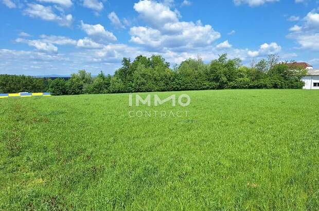 Gewerbeobjekt kaufen in 3311 Zeillern