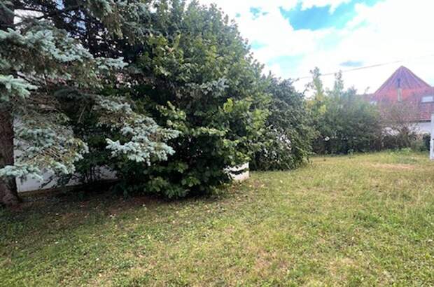 Haus mit Garten kaufen in 7512 Kohfidisch (Bild 3)