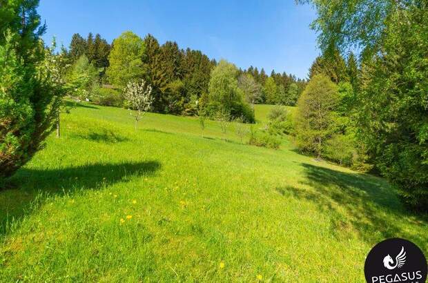 Grundstück kaufen in 8102 Semriach (Bild 3)