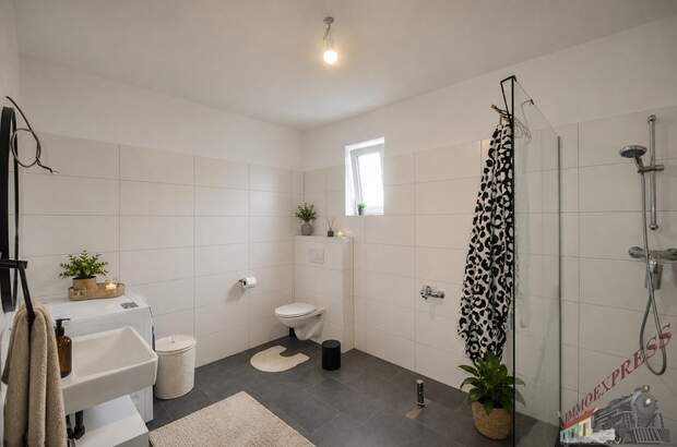 Mehrfamilienhaus kaufen in 3252 Petzenkirchen (Bild 3)