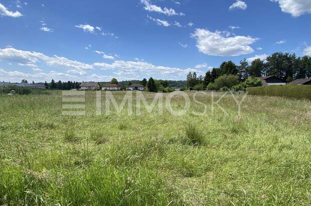 Grundstück kaufen in 7551 Stegersbach (Bild 5)