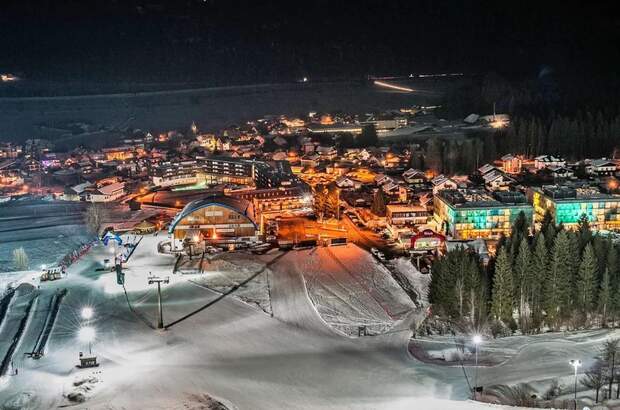 Gewerbeobjekt kaufen in 9631 Tröpolach (Bild 1)