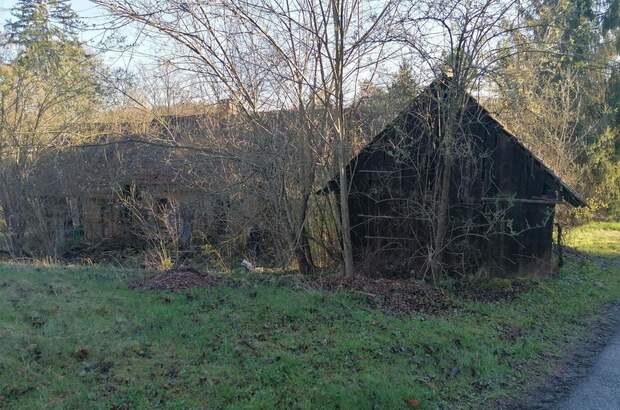 Haus kaufen in 8505 Sankt Nikolai (Bild 4)