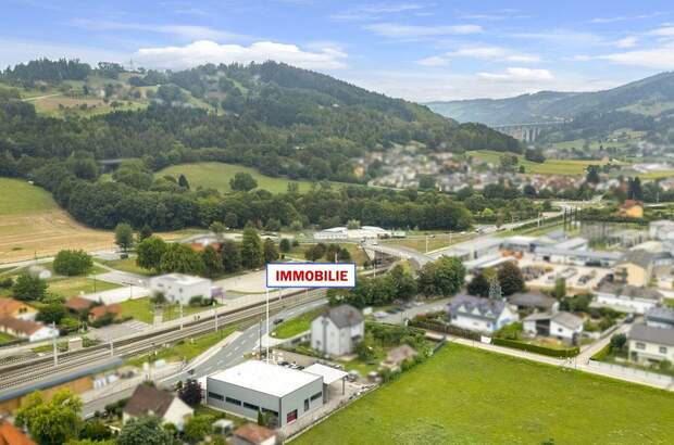 Gewerbeobjekt kaufen in 9400 Wolfsberg (Bild 2)