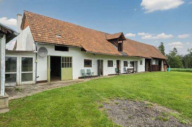 Bauernhaus kaufen in 8481 Weinburg (Bild 5)