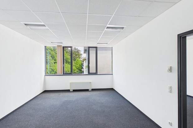 Gewerbeobjekt mieten in 4020 Linz (Bild 4)