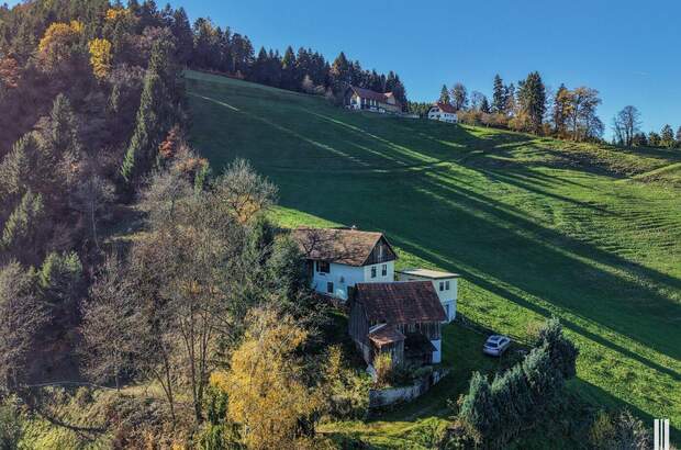 Gewerbeobjekt kaufen in 8570 Kleinwöllmiß (Bild 3)