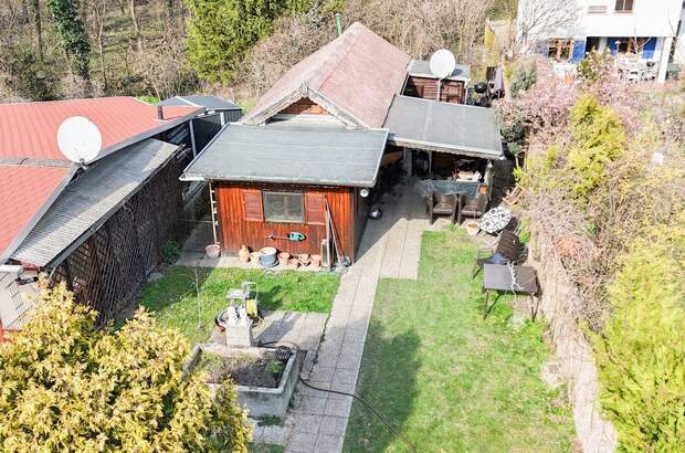 Haus mit Garten mieten in 1020 Wien (Bild 4)