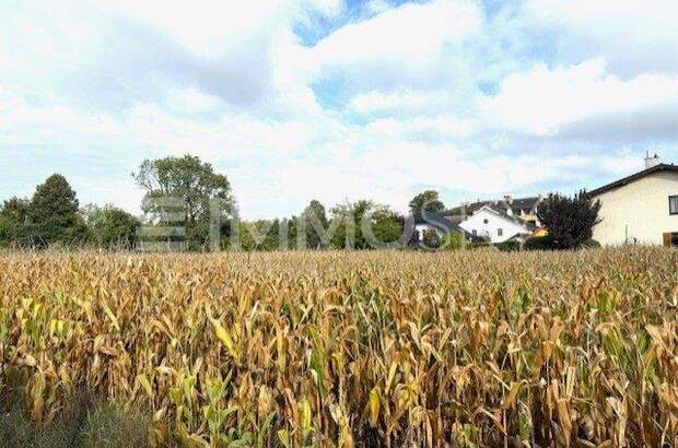 Reihenhaus kaufen in 3104 Harland (Bild 4)