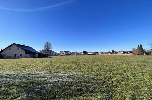 Grundstück kaufen in 8431 Gralla (Bild 2)