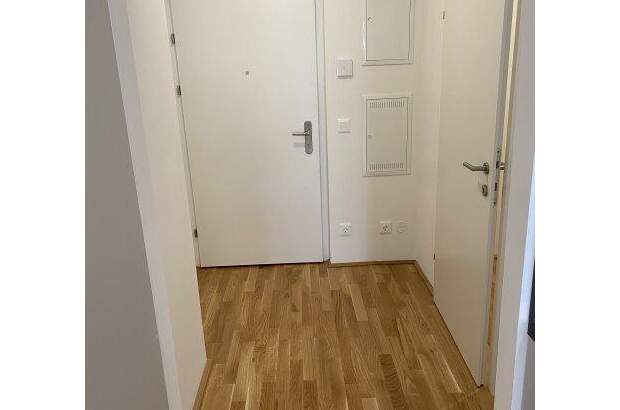 Terrassenwohnung mieten in 1220 Wien (Bild 1)
