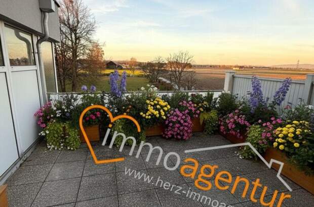 Wohnung kaufen in 4614 Marchtrenk (Bild 4)