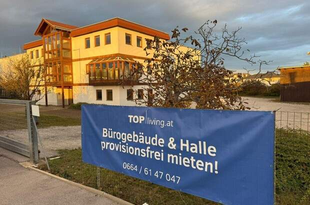 Gewerbeobjekt mieten in 2700 Wiener Neustadt (Bild 3)