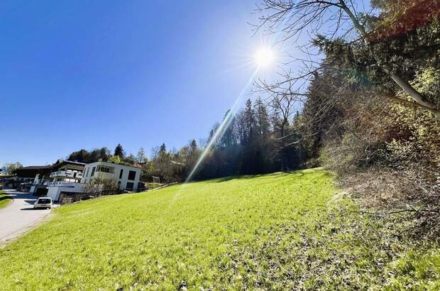 Grundstück kaufen in 6075 Tulfes (Bild 4)