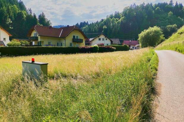 Grundstück kaufen in 9433 Schönweg (Bild 4)