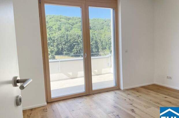 Terrassenwohnung kaufen in 2391 Kaltenleutgeben (Bild 5)