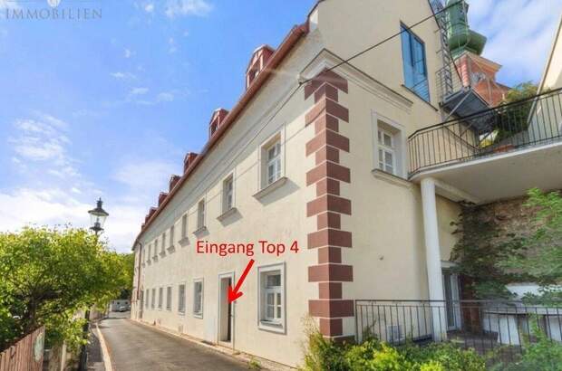 Altbauwohnung kaufen in 1190 Wien (Bild 4)
