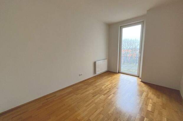 Terrassenwohnung mieten in 2232 Deutsch (Bild 3)