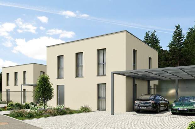 Haus kaufen in 4223 Ruhstetten (Bild 2)