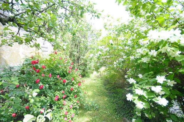 Terrassenwohnung kaufen in 3100 St. Pölten (Bild 4)