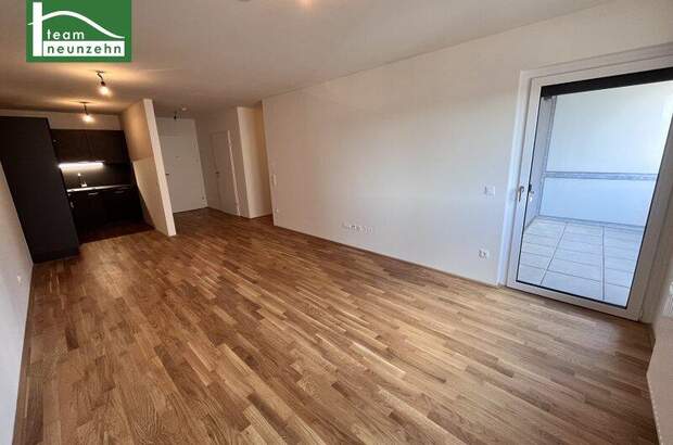 Terrassenwohnung mieten in 1100 Wien (Bild 2)