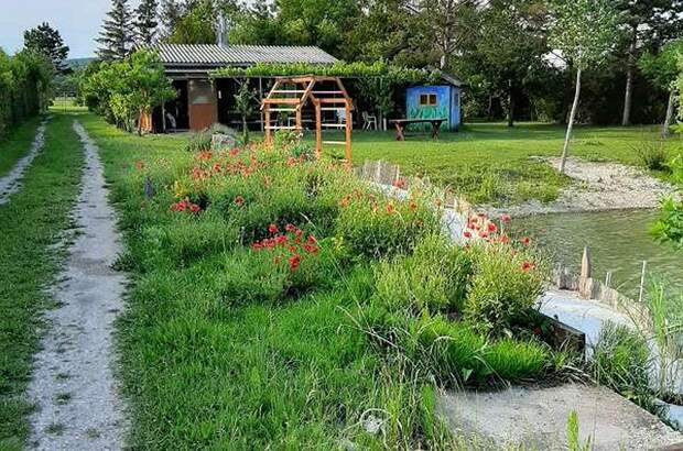 Gewerbeobjekt kaufen in 7064 Oslip (Bild 2)