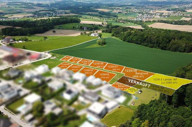 Grundstück kaufen in 4223 Katsdorf (Bild 4)