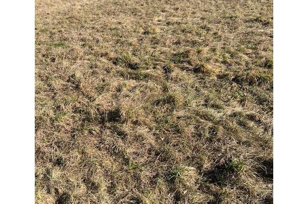 Grundstück kaufen in 2231 Strasshof (Bild 2)