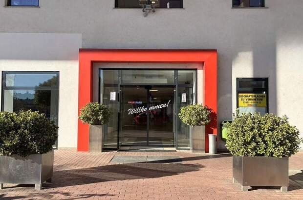 Gewerbeobjekt mieten in 8430 Leibnitz (Bild 2)