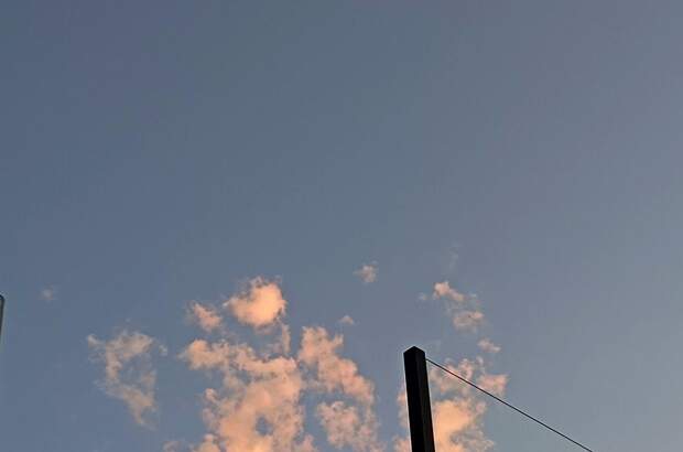 Mietwohnung in 1190 Wien (Bild 5)