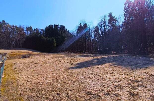 Grundstück kaufen in 8071 Hausmannstätten (Bild 3)