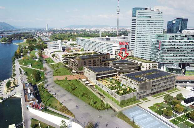 Gewerbeobjekt mieten in 1220 Wien (Bild 5)