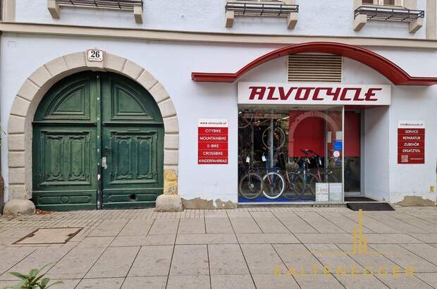 Anlageobjekt kaufen in 2700 Wiener Neustadt (Bild 2)