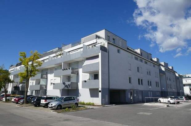 Terrassenwohnung mieten in 2700 Wr. Neustadt (Bild 2)