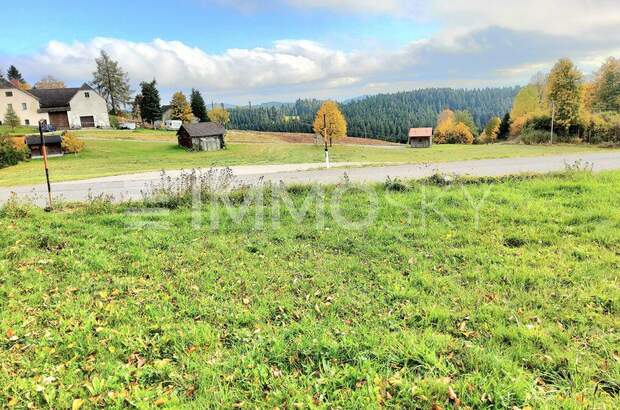 Mehrfamilienhaus kaufen in 4252 Liebenau (Bild 1)